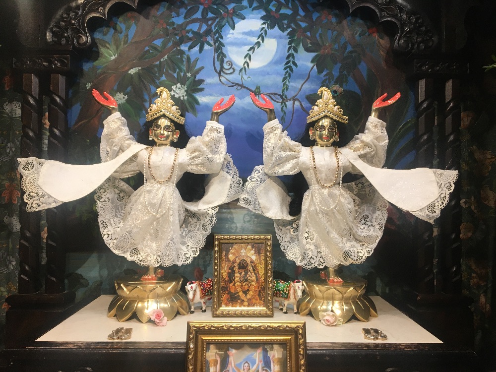 Weekly Program (January 26 - February 1)