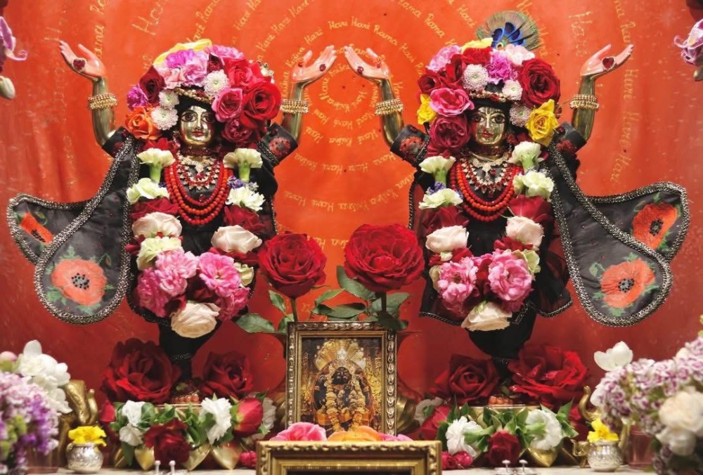 Weekly Program (February 9-15)